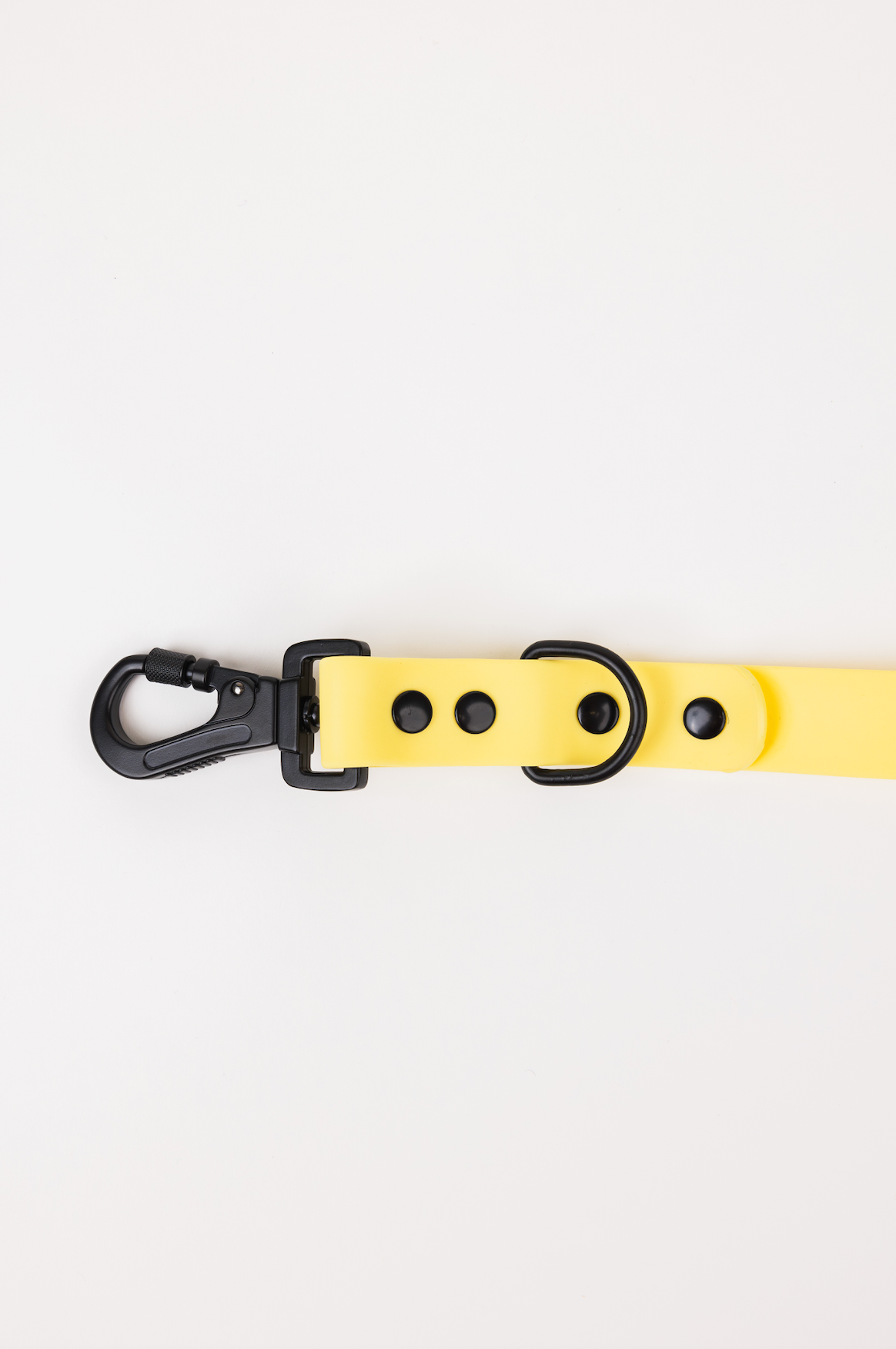 The Modern Dog Company - Daffodil Yellow Adjustable Leash - BIG FRENCHIES