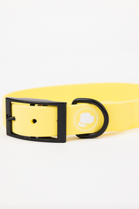 The Modern Dog Company - Daffodil Yellow Collar (Weather + Odor Resistant) - BIG FRENCHIES