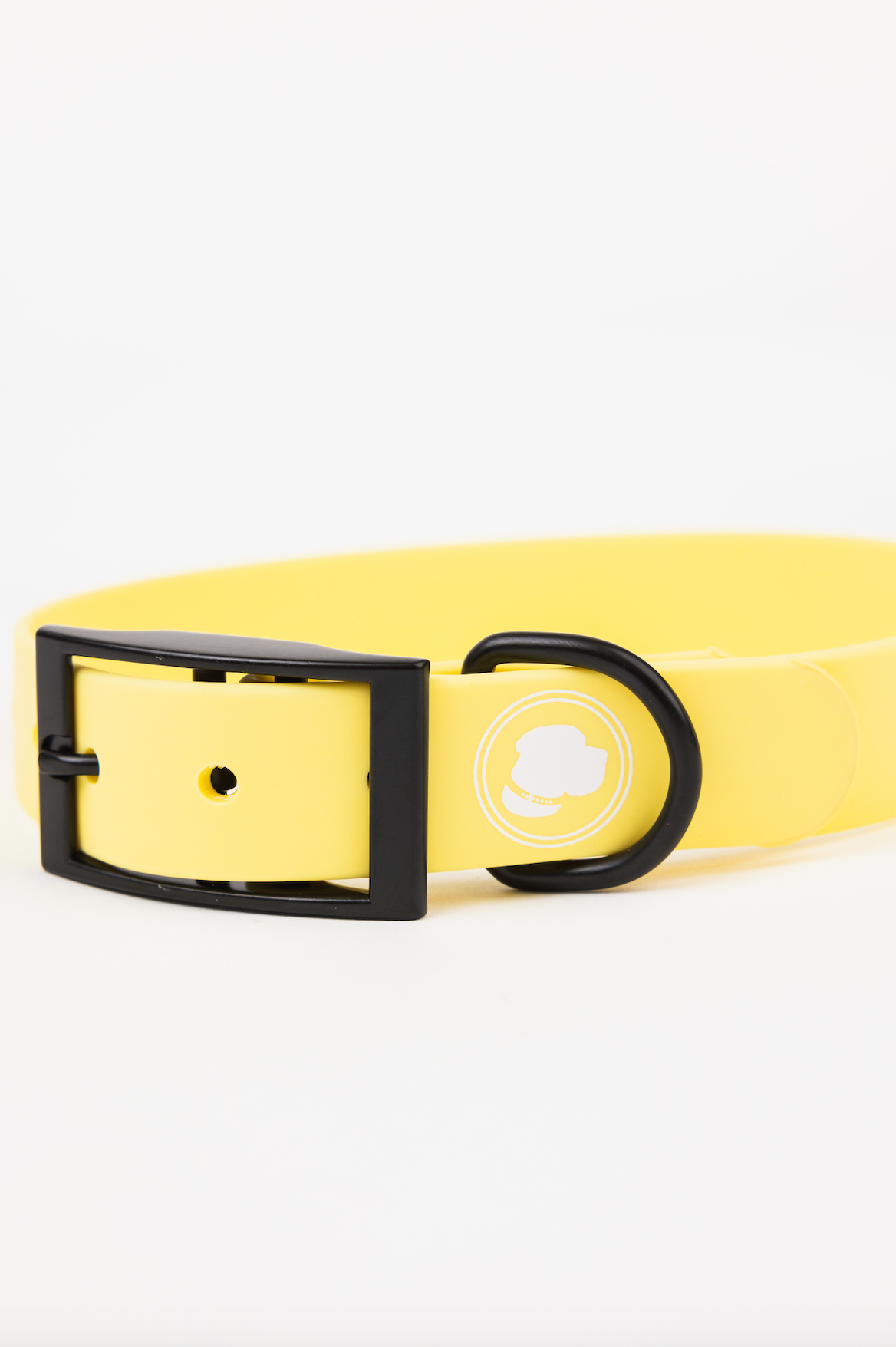 The Modern Dog Company - Daffodil Yellow Collar (Weather + Odor Resistant) - BIG FRENCHIES