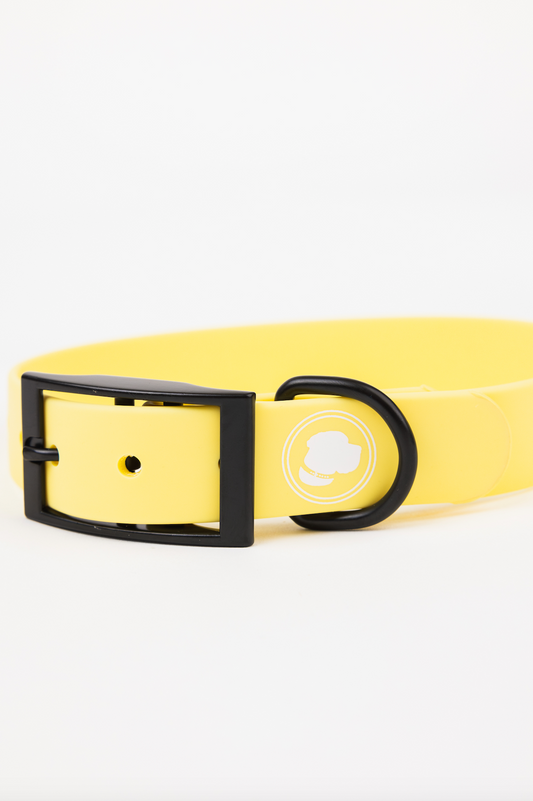 The Modern Dog Company - Daffodil Yellow Collar (Weather + Odor Resistant) - BIG FRENCHIES