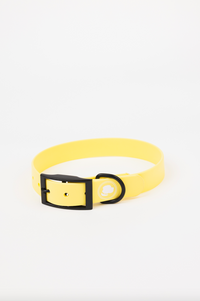 The Modern Dog Company - Daffodil Yellow Collar (Weather + Odor Resistant) - BIG FRENCHIES