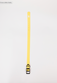 The Modern Dog Company - Daffodil Yellow Collar (Weather + Odor Resistant) - BIG FRENCHIES