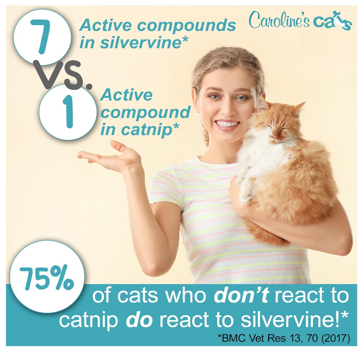 Caroline's Cats Silvervine Powder Packets for Cat Toys - Gall Fruit Refill Pouches More Potent Than Catnip Replacements for Flapping Bird, Flopping Fish, and More-Pet Toys-BIG FRENCHIES-Caroline's Cats