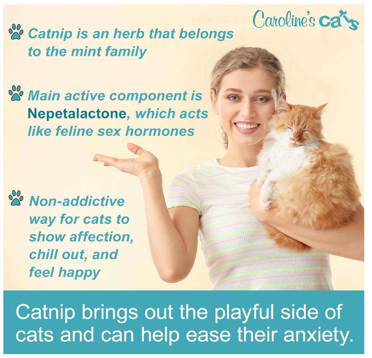 Caroline's Cats Organic Catnip Packets for Cat Toys 2.0 – More Potent Refill Pouches for Flapping Bird, Flopping Fish, and Others, 10 Tea Bags-Pet Toys-BIG FRENCHIES-Caroline's Cats