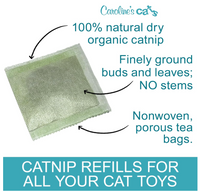 Caroline's Cats Organic Catnip Packets for Cat Toys 2.0 – More Potent Refill Pouches for Flapping Bird, Flopping Fish, and Others, 10 Tea Bags