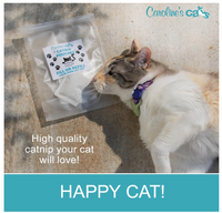 Caroline's Cats Organic Catnip Packets for Cat Toys – Refill Pouches for Flapping Bird, Flopping Fish, and More, 10 Tea Bags