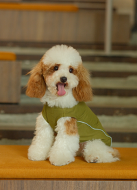 CHILL VEST SHIRT - GREEN