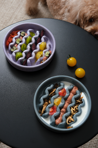 [Macaroni] Slow Feeder Dog Bowls - Yellow / Frozen Blue / Purple