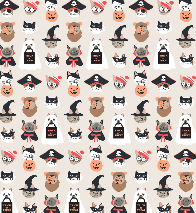 Meow & Treat (Dream Blanket) - BIG FRENCHIES