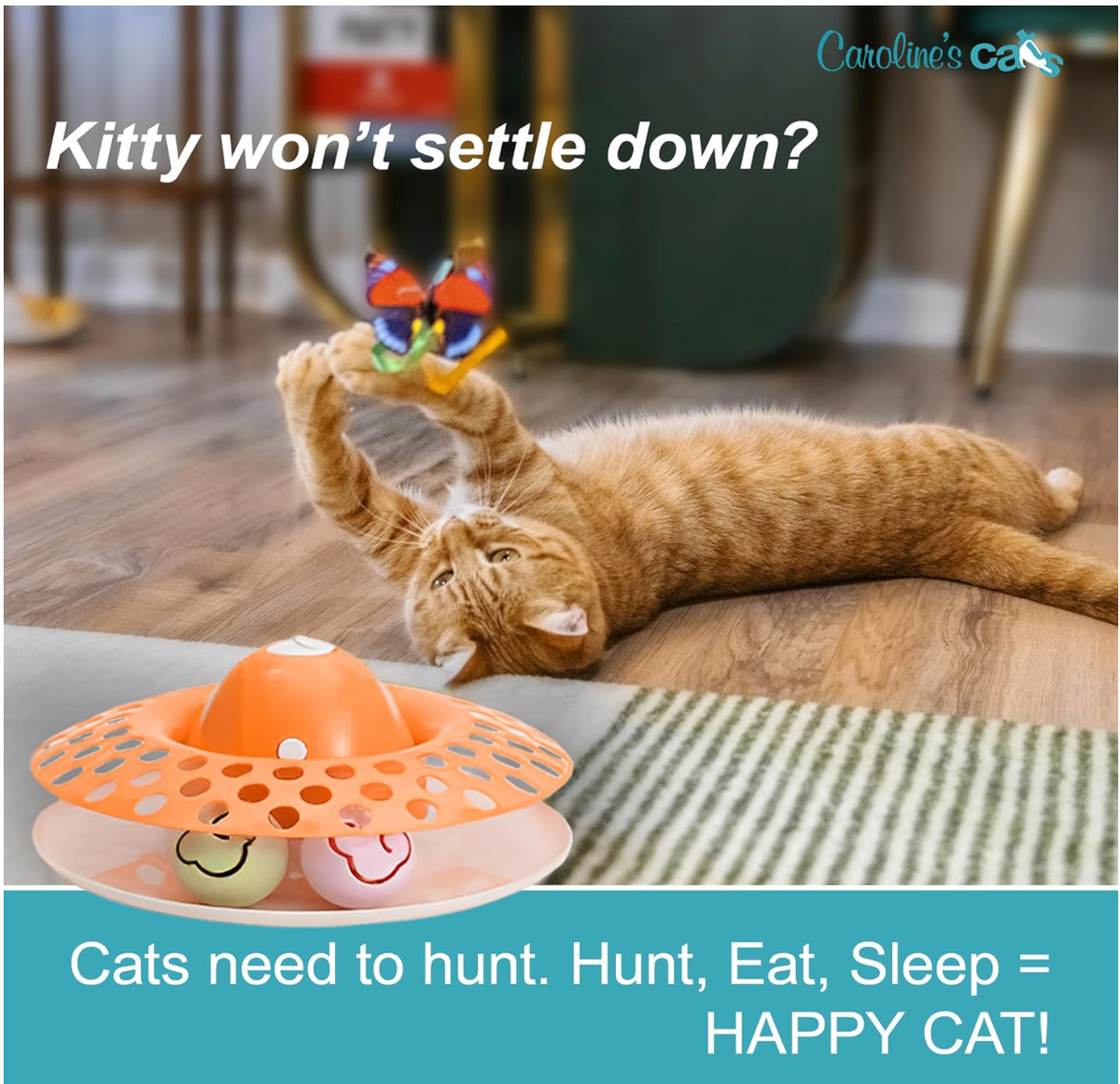 Caroline's Cats Automatic Butterfly Cat Toy – Interactive 2 in 1 with Auto Shut Off & Catnip Ball Track; Recommended Electric Exercise & Enrichment Game