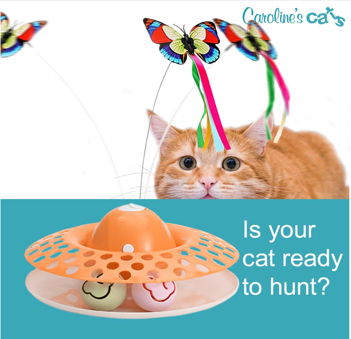Caroline's Cats Automatic Butterfly Cat Toy – Interactive 2 in 1 with Auto Shut Off & Catnip Ball Track; Recommended Electric Exercise & Enrichment Game