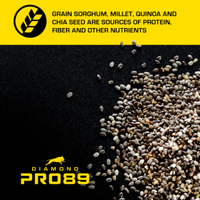 Diamond Pro89 Beef, Pork & Ancient Grains Formula for Adult Dogs 40lbs.
