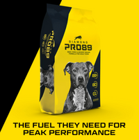 Diamond Pro89 Beef, Pork & Ancient Grains Formula for Adult Dogs 40lbs.