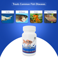 Fish Mox 250mg Capsules for Aquarium Fish – Water Care Support