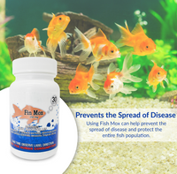 Fish Mox 250mg Capsules for Aquarium Fish – Water Care Support