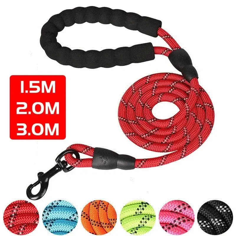 Reflective Dog Leash – Heavy Duty Traction Rope with Padded Handle for Strong Dogs-Pet Collars & Leashes-BIG FRENCHIES-Econic Blanks