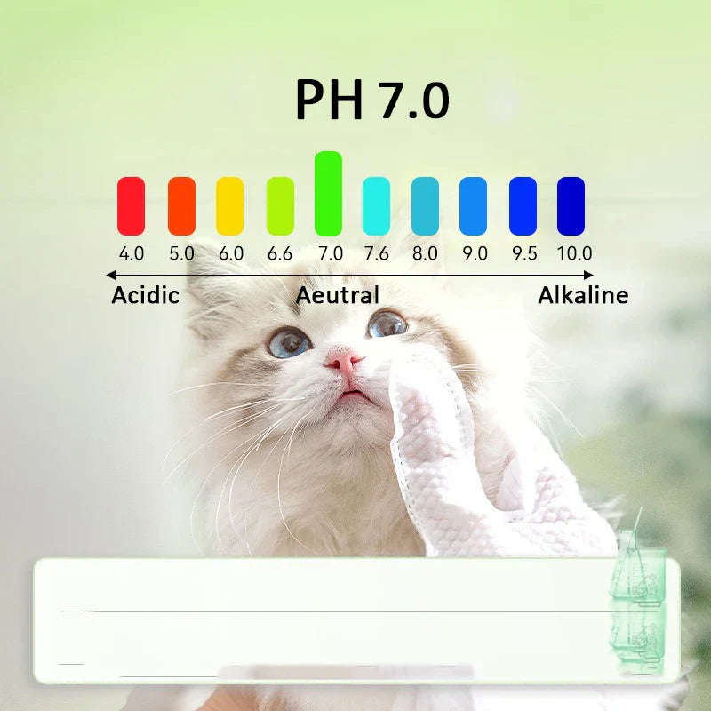 No-Rinse Cat Bath Wipes For Stress-Free Cleaning - 6Pcs - BIG FRENCHIES