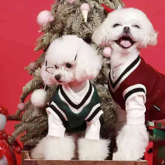 Small Dog Winter Sweater - V-Neck College Style Knitwear - BIG FRENCHIES