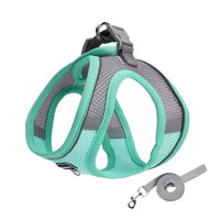 Adjustable Dog Harness & Leash Set for Small Dogs – Comfortable & Safe Walking Gear - BIG FRENCHIES