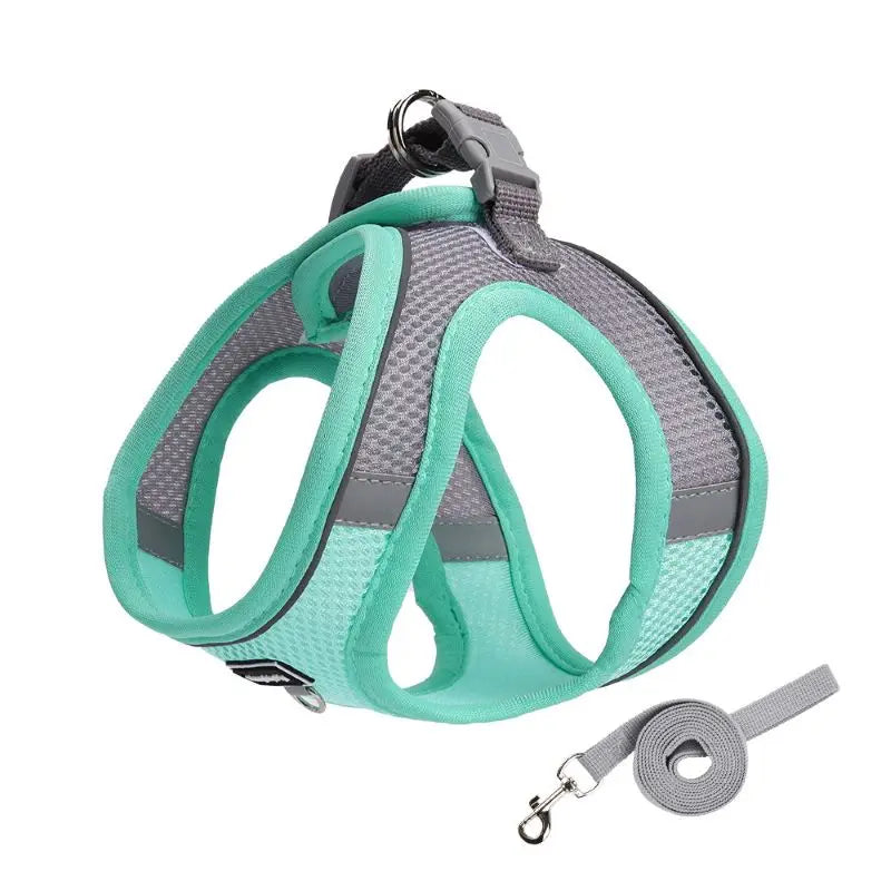 Adjustable Dog Harness & Leash Set for Small Dogs – Comfortable & Safe Walking Gear - BIG FRENCHIES