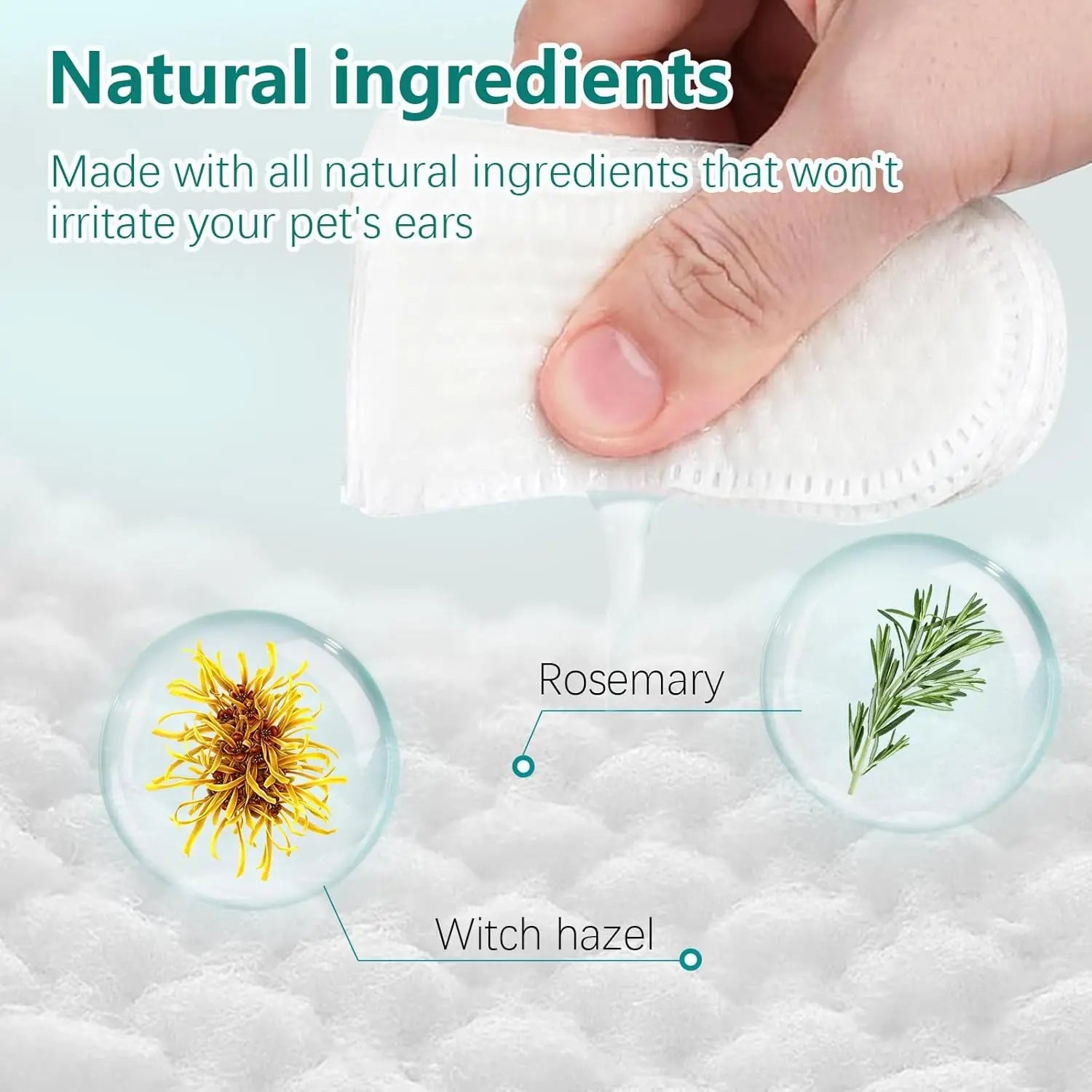 Pet Ear Cleaning Wipes for Healthy Ears - BIG FRENCHIES
