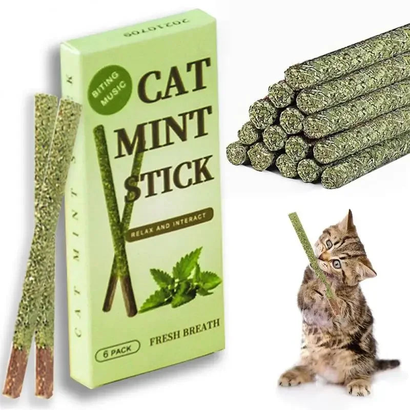 6PCS Natural Matatabi Cat Sticks – Silvervine Teeth Cleaning Treat & Cat Chew Toy - BIG FRENCHIES