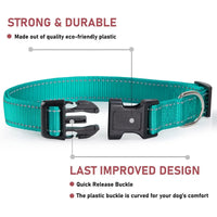 Reflective Adjustable Nylon Dog Collar Strap – Safety Traction Rope - BIG FRENCHIES