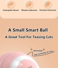 Smart Cat Toy Ball: Auto-Rolling for Active Play - BIG FRENCHIES