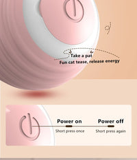 Smart Cat Toy Ball: Auto-Rolling for Active Play - BIG FRENCHIES