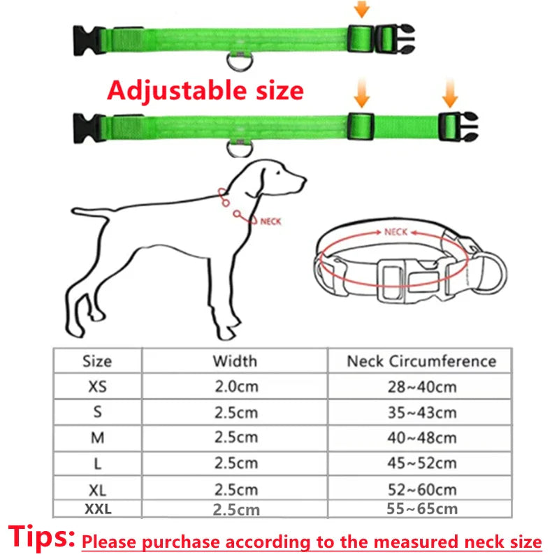 LED Pet Dog Collar for Night Safety | Bright USB Rechargeable - BIG FRENCHIES