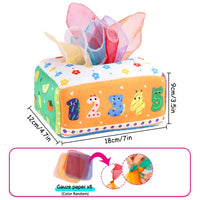 Baby's Teaching Tissue Box