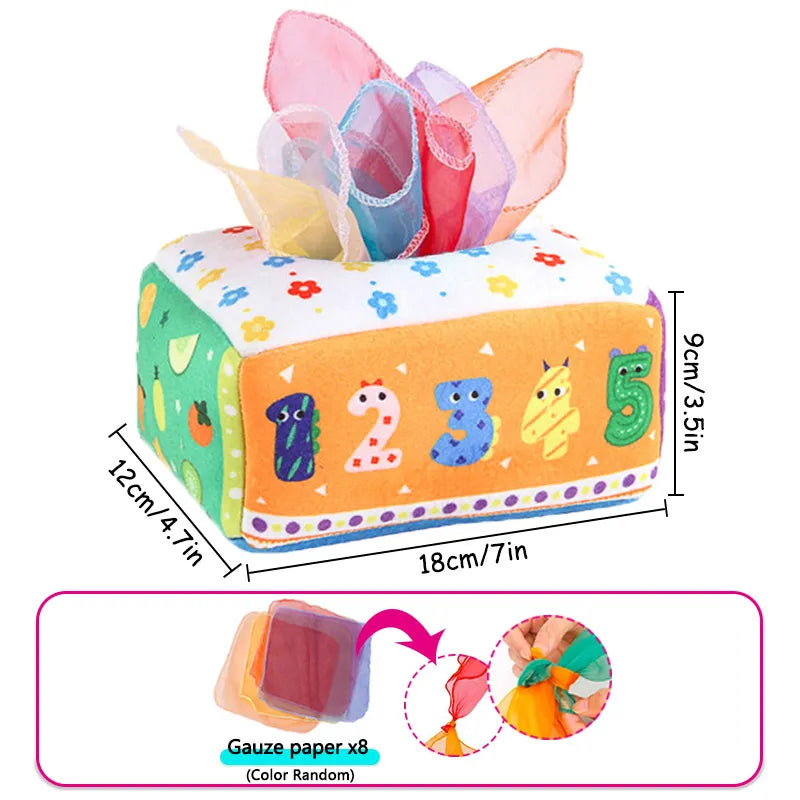 Baby's Teaching Tissue Box
