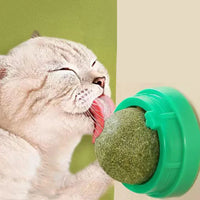 Catnip Wall Ball Treats – Digestive Aid & Fun for Cats - BIG FRENCHIES