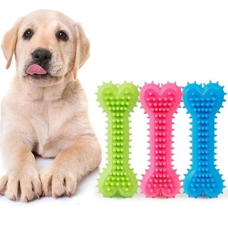 Durable Rubber Bone Chew Toys for Puppies and Teething - BIG FRENCHIES