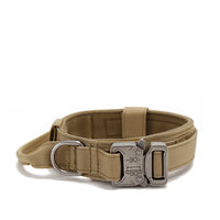 Durable Nylon Dog Collar with Reflective Leash Set - BIG FRENCHIES