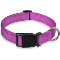 Reflective Adjustable Nylon Dog Collar Strap – Safety Traction Rope - BIG FRENCHIES
