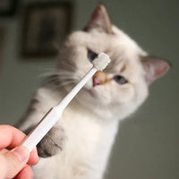 Complete Pet Toothbrush And Toothpaste Kit - BIG FRENCHIES