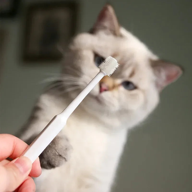 Complete Pet Toothbrush And Toothpaste Kit - BIG FRENCHIES