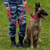 The Tactical Luxe Collar & Leash