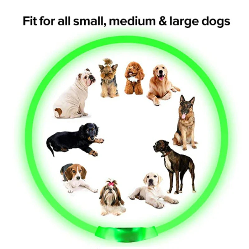 LED Pet Dog Collar for Night Safety | Bright USB Rechargeable - BIG FRENCHIES