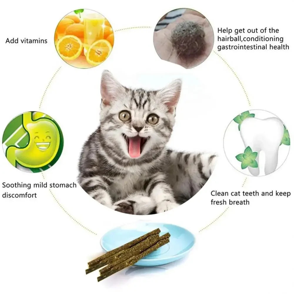 6PCS Natural Matatabi Cat Sticks – Silvervine Teeth Cleaning Treat & Cat Chew Toy - BIG FRENCHIES