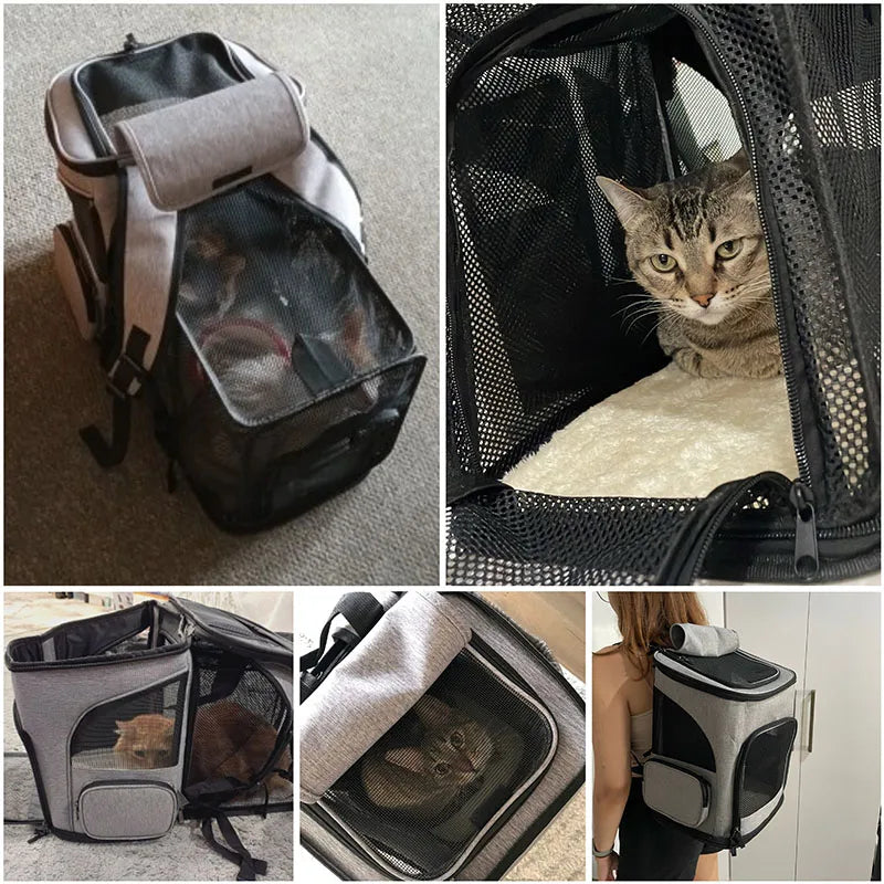 Expandable Pet Carrier Backpack – Travel Bag - BIG FRENCHIES