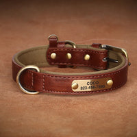 Personalized PU Leather Dog Collar with Custom Engraved ID Tag - BIG FRENCHIES