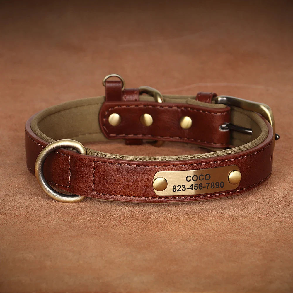 Personalized PU Leather Dog Collar with Custom Engraved ID Tag - BIG FRENCHIES