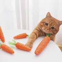 Sound Carrot Cat Toy | Teething & Anti-Bite Cuddle Stick for Cats - BIG FRENCHIES