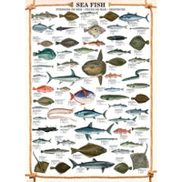 Sea Fish 1000 Piece Jigsaw Puzzle Eurographics
