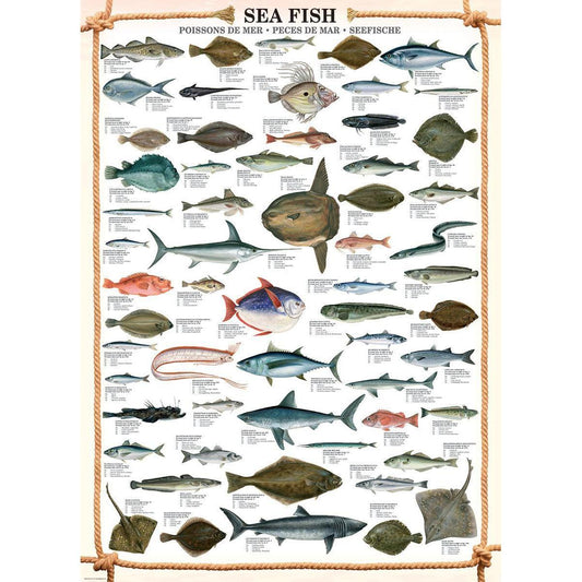 Sea Fish 1000 Piece Jigsaw Puzzle Eurographics