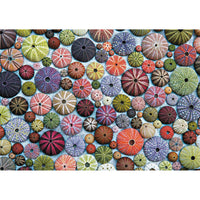 Sea Urchins 1000 Piece Jigsaw Puzzle Piatnik