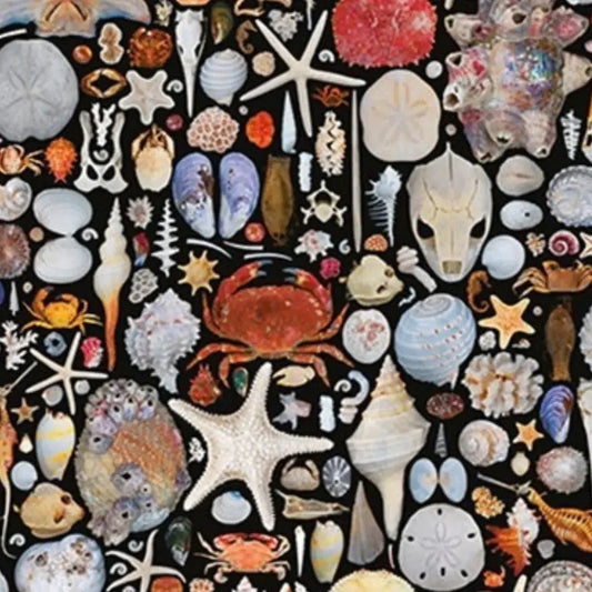 Seaside Goods 1000 Piece Jigsaw Puzzle Piatnik - BIG FRENCHIES