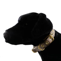 Collars Seatbelt